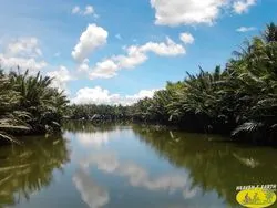 Tour à vélo après-midi paisible chemins campagne Hoi An