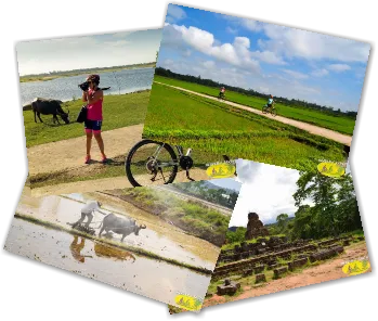 Journée culturel à vélo avec la visite des temples de My Son