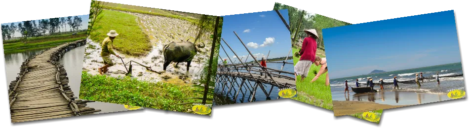 Photos pour tour à vélo privé à Hoi An avec la compagnie Heaven and Earth